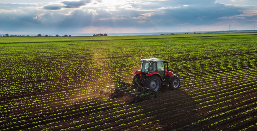 Bonus sud del settore agricolo