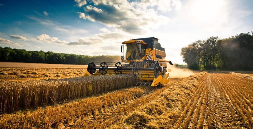 Fondo Innovazione in Agricoltura 2024